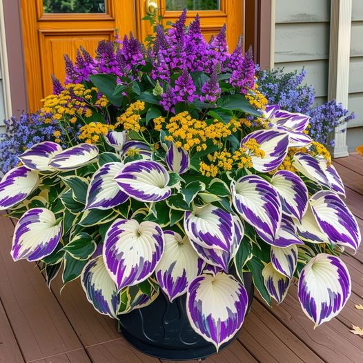 Hardy Beauty: Hosta Flowers Resistant to Shade and Cold-GR
