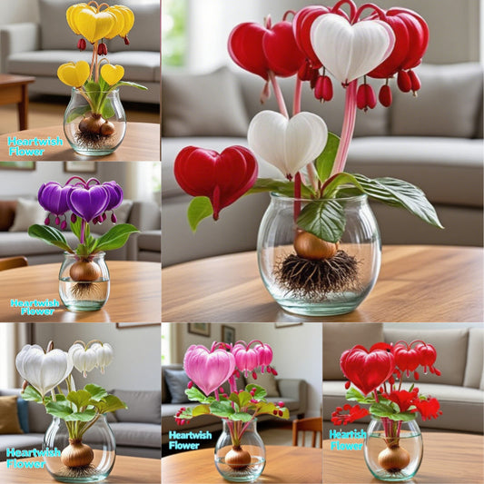 💕 Make Your Wishes Come True: Wishing Bulbs – A Flowering Miracle for Every Home🌷-EN